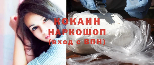 прущие грибы Бородино
