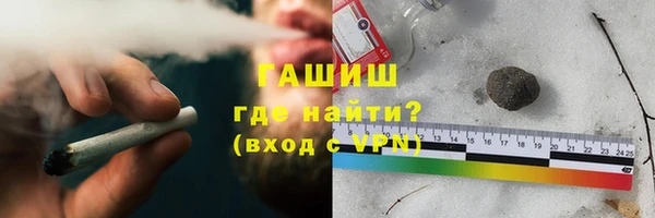 прущие грибы Бородино