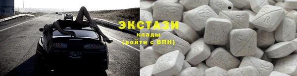 прущие грибы Бородино