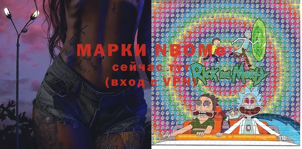 прущие грибы Бородино